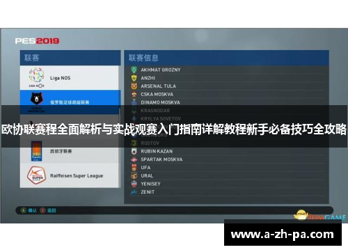 欧协联赛程全面解析与实战观赛入门指南详解教程新手必备技巧全攻略